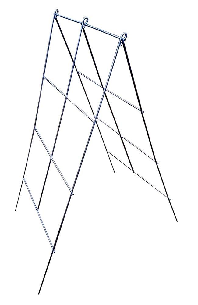 Galvanized steel wire A-frame plant support.