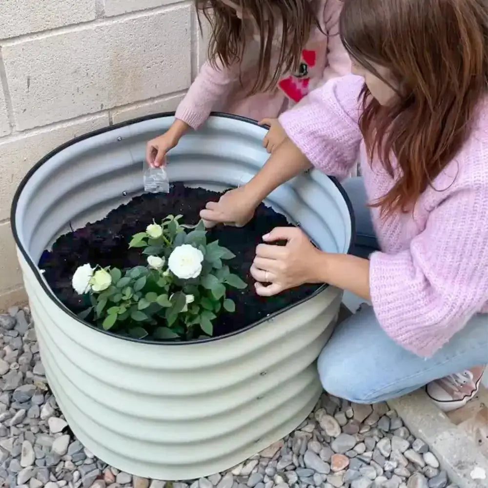 Pale green round corrugated metal bed with white roses being planted.