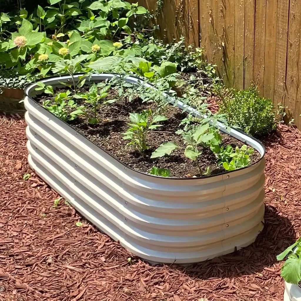 Cream corrugated metal raised bed planted with young vegetables.